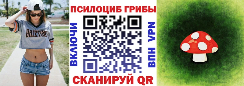 Псилоцибиновые грибы MAGIC MUSHROOMS  Приволжский 